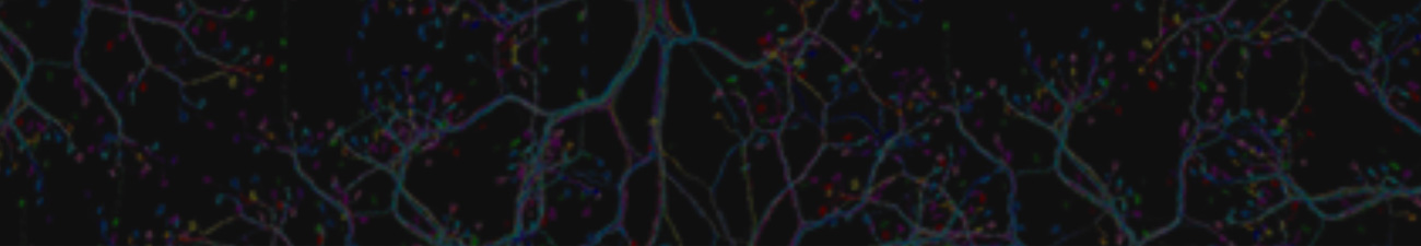 OBN – Olimpíada Brasileira de Neurociências