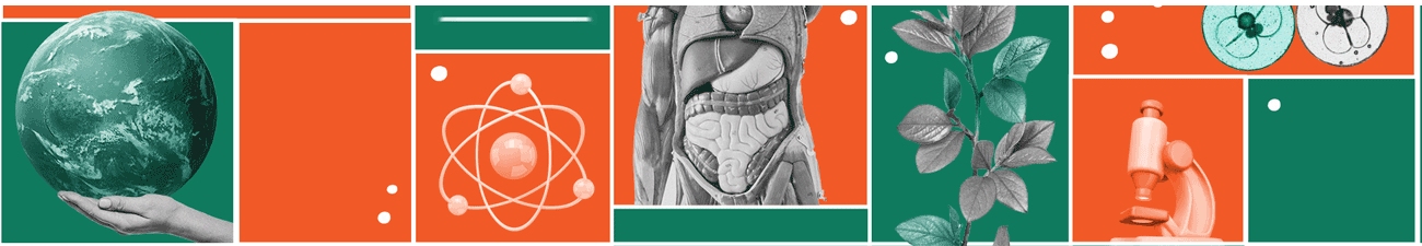 OBB – Olimpíada Brasileira de Biologia